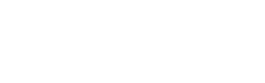 Foton Dũng Lạc