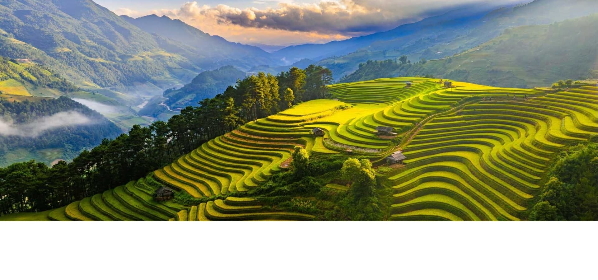 Vietnam Background